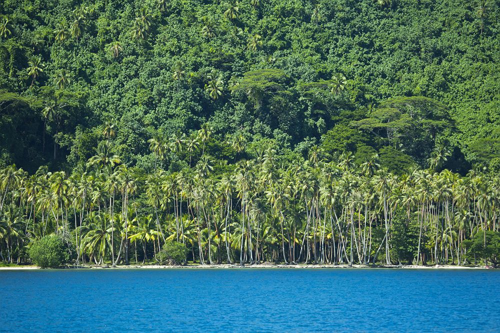 Raiatea - Polynésie
