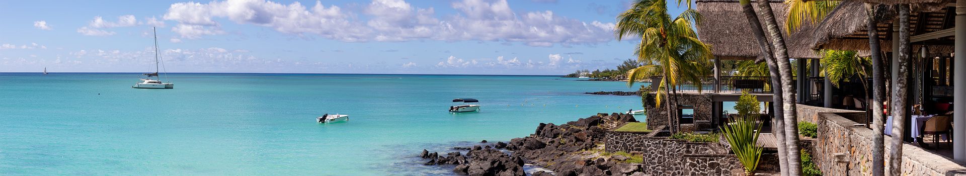 Royal Palm Beachcomber Maurice