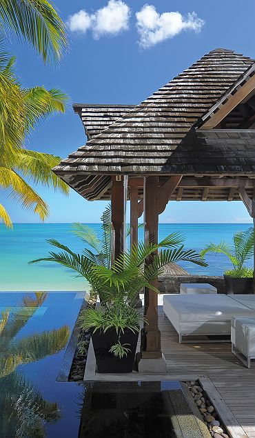 Royal Palm - Ile Maurice