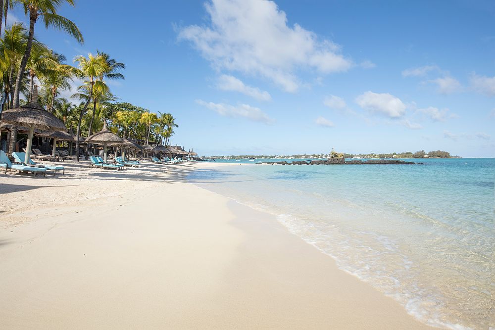 Royal Palm Beachcomber Maurice