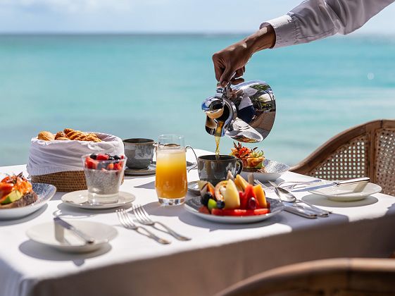 Royal Palm beachcomber