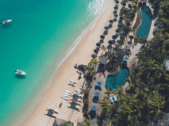 Royal Palm beachcomber