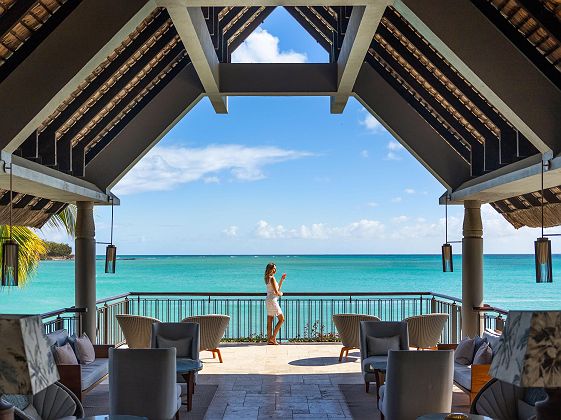 Royal Palm beachcomber