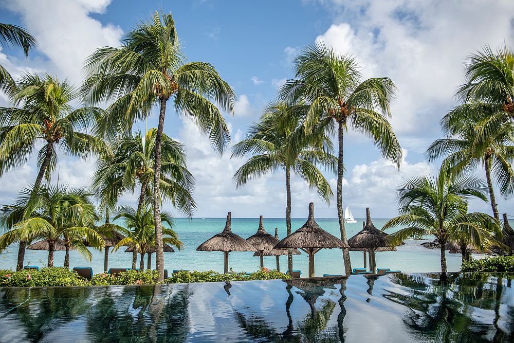 Royal Palm Beachcomber Maurice