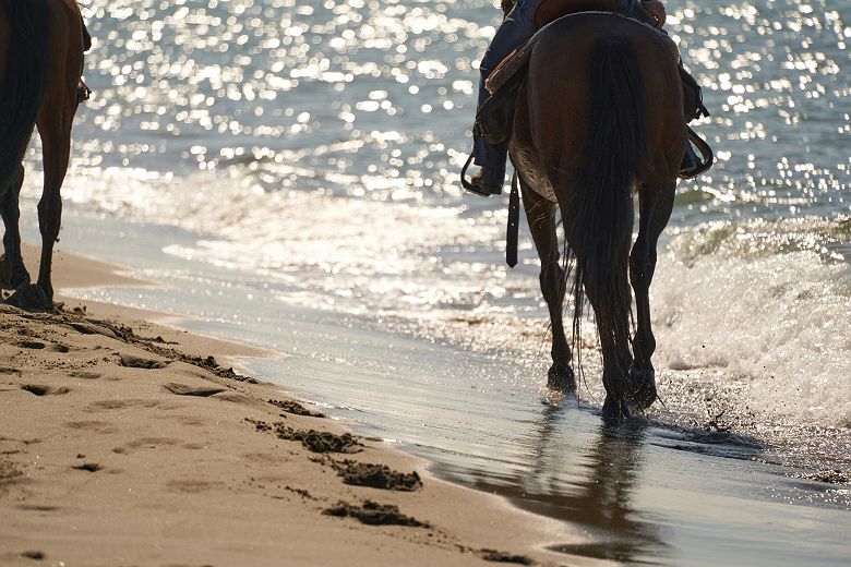 Balade à cheval sur la plage - Mykonos Grèce