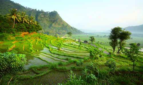 decouvrir_indonesie_iles_des_celebes_toraja