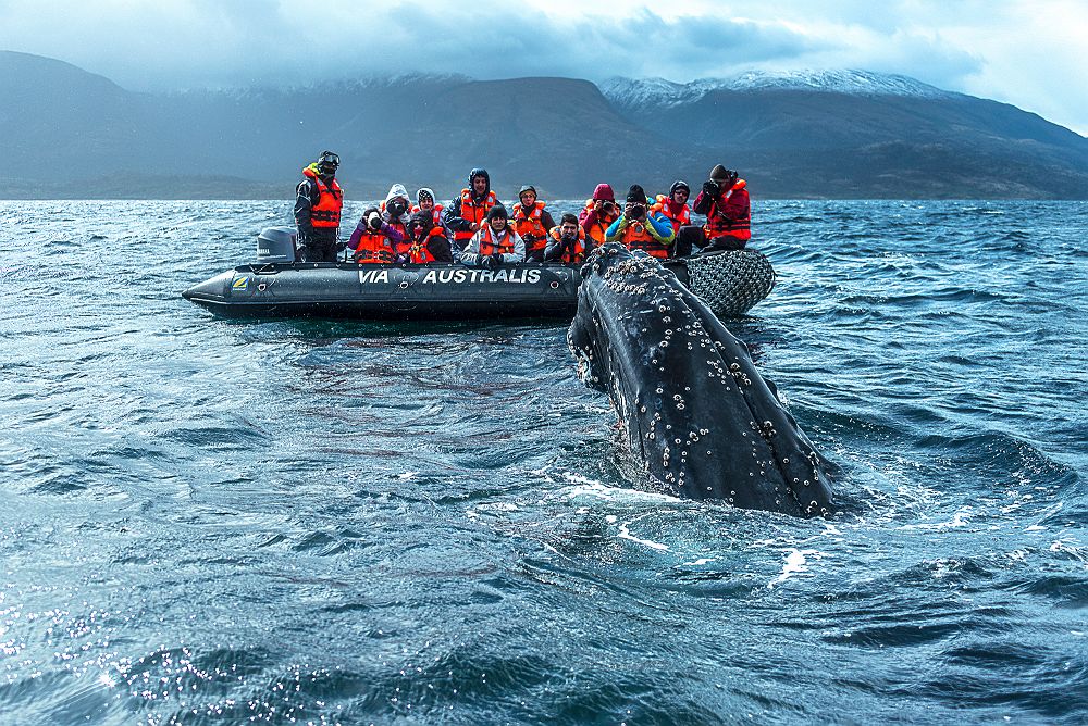 Croisière Australis - Cape Horn & Patagonie