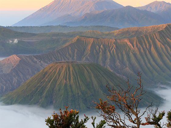 Vue sur le parc national de Bromo Tengger Semeru, Java - Indonésie