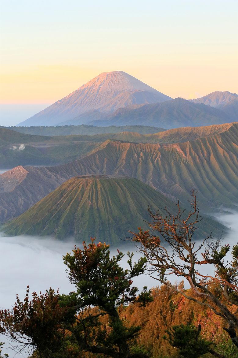Vue sur le parc national de Bromo Tengger Semeru, Java - Indonésie
