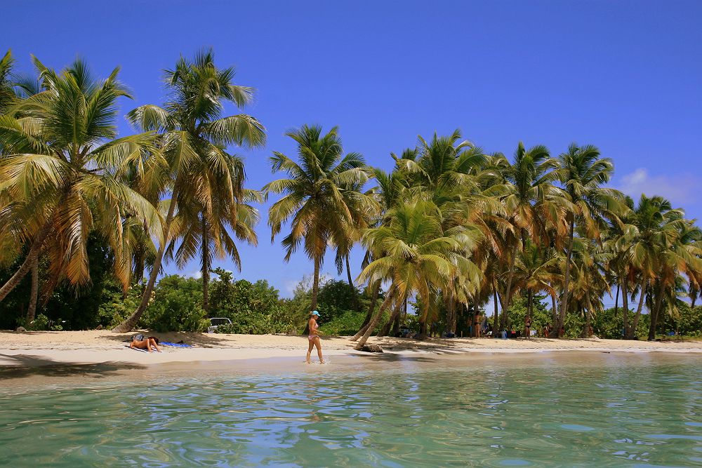 La plage des salines à la Martinique