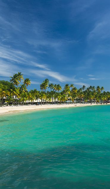 Guadeloupe - Vue de la plage Caravelle depuis la mer