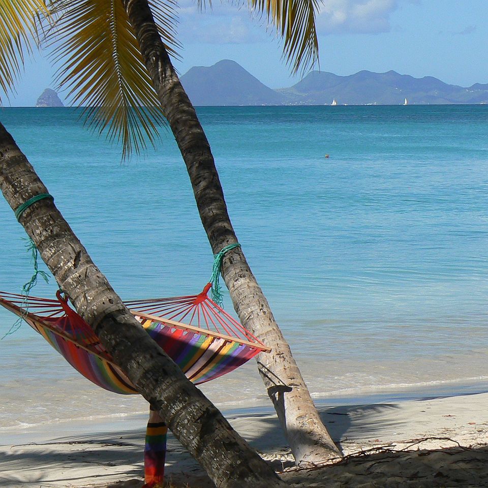 Hamac sur la Plage des Salines en Martinique