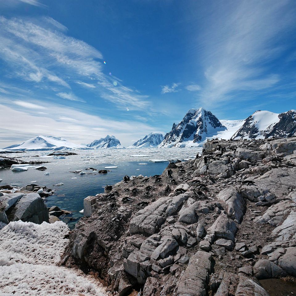 Croisière Quark Antarctique