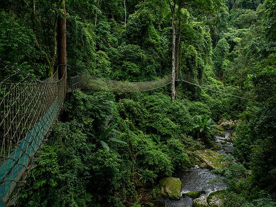 	
Ponts suspendus à Namkat - Laos
