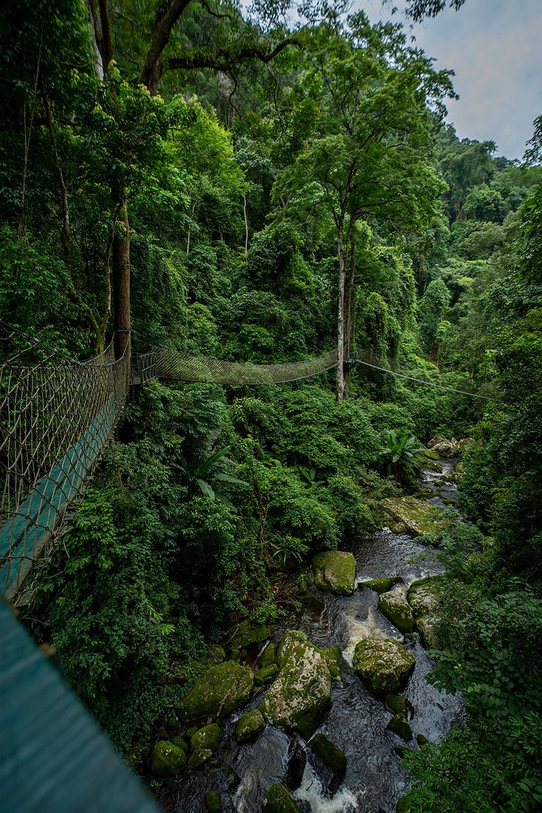 	
Ponts suspendus à Namkat - Laos