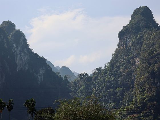 Jungle de Khao Sok - Thaïlande - crédit ©Mégane Abdelli