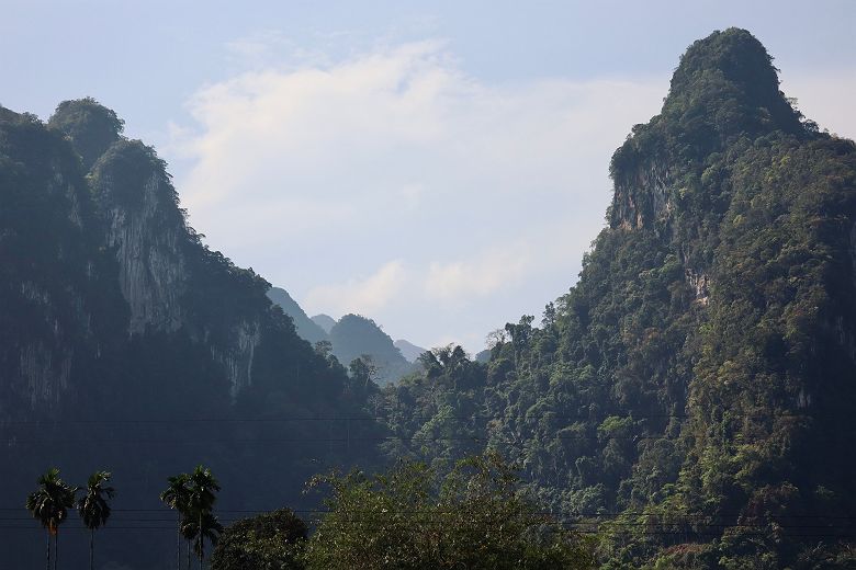 Jungle de Khao Sok - Thaïlande - crédit ©Mégane Abdelli