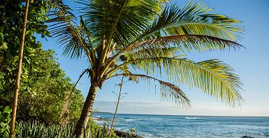 Tamarindo au Costa Rica