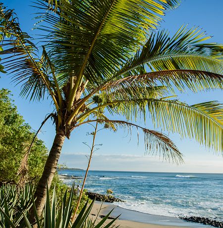 Tamarindo au Costa Rica