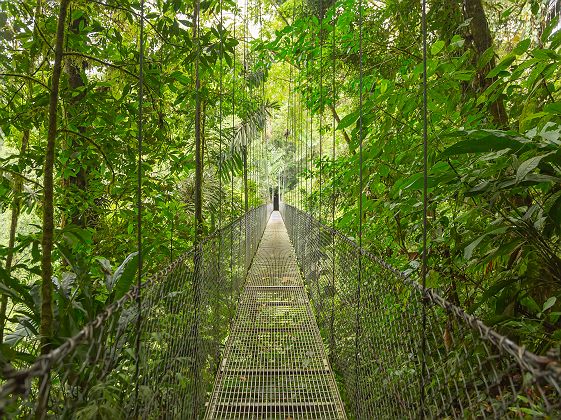 Costa Rica - Pont suspendu traversant une forêt tropicale au parc national du Volcan Arenal