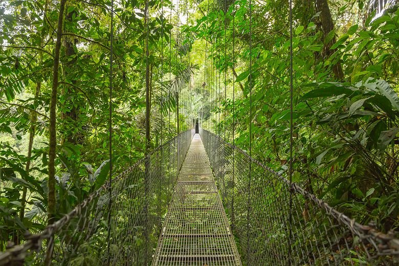 Costa Rica - Pont suspendu traversant une forêt tropicale au parc national du Volcan Arenal