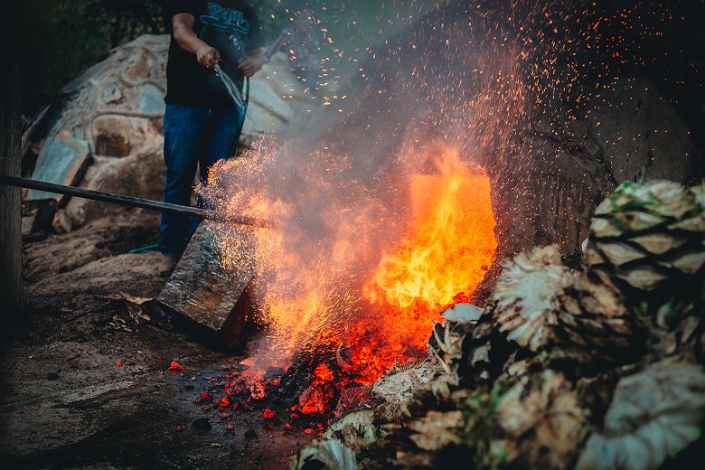 Agave à l'origine du Mezcal - Processus de fabrication du Mezcal