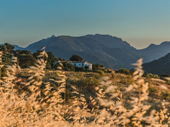 Finca Donaira, Montecorto