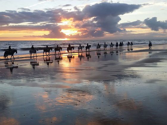 Balade a cheval parc Donana