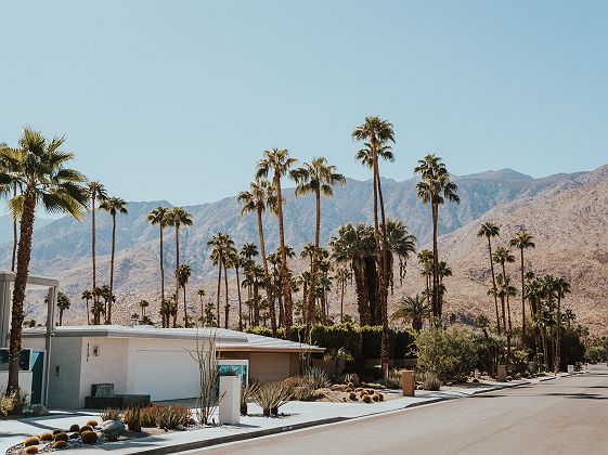 Palm Springs
