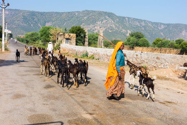 Route au Rajasthan