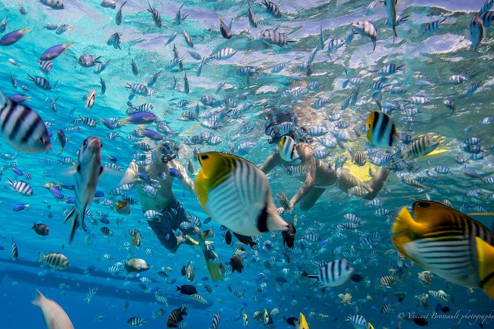 Excursion exclusive à Bora Bora - Polynésie