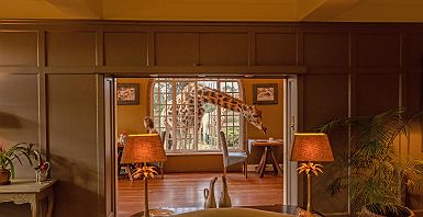 Giraffe Manor - petit déjeuner