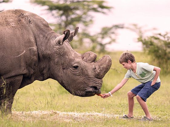 Ol Pejeta Bush Camp