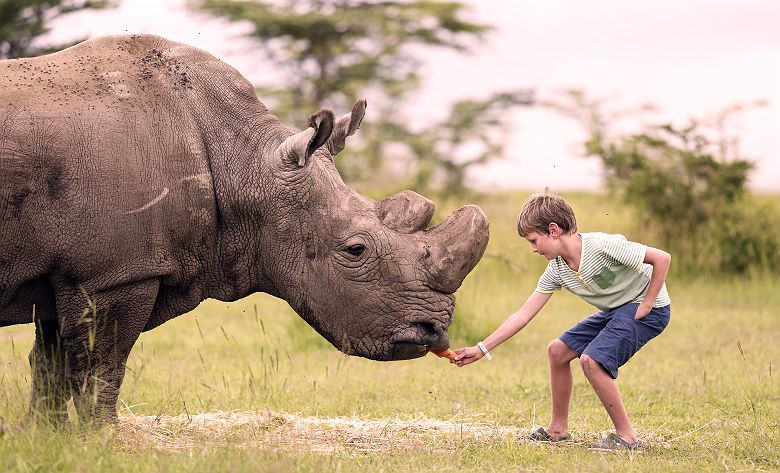Ol Pejeta Bush Camp