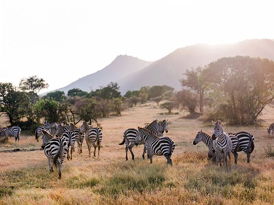 Cottar’s 1920s Camp - Kin Travel Kenya_Valorie Darling Photography