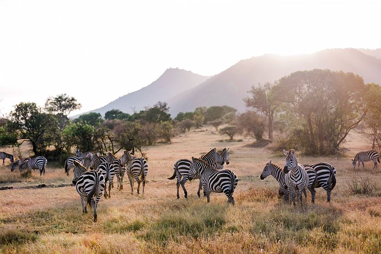 Cottar’s 1920s Camp - Kin Travel Kenya_Valorie Darling Photography