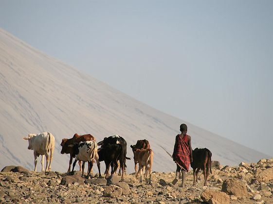 Dans la région du lac Natron