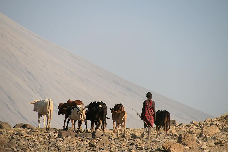 Dans la région du lac Natron