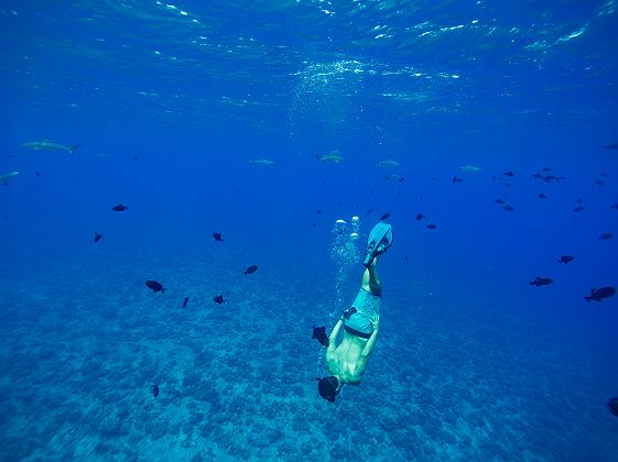 BORA_BORA_00207_Copyright Gregoire Le Bacon