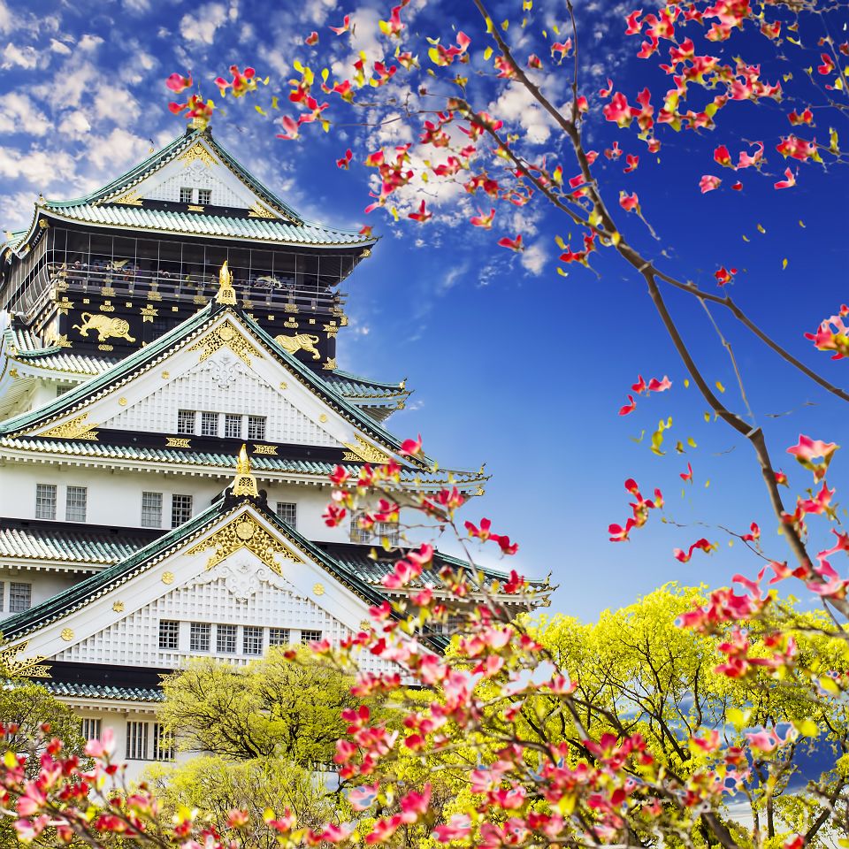 Le château d'Osaka - Japon