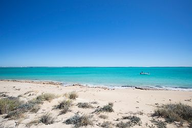 Ningaloo Fly Fishing - tourism.australia.com