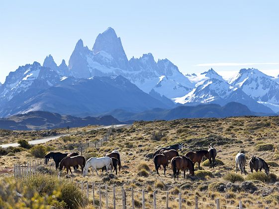 Patagonie, Mont Fitz Roy avec des chevaux - Argentine