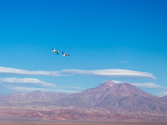 San Pedro de Atacama - Chili