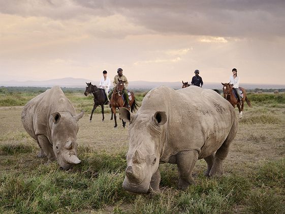 Safari à cheval depuis le Sanctuary Tambarare Activitées