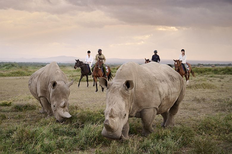 Safari à cheval depuis le Sanctuary Tambarare Activitées