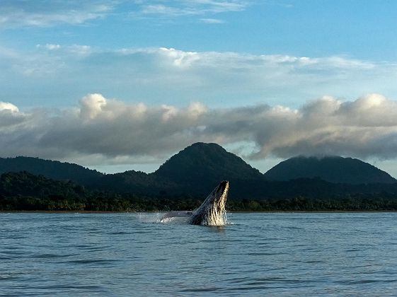 Choco, Pacifique - Colombie