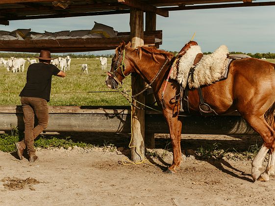 Région du café - Colombie