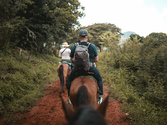 Région du café - Colombie