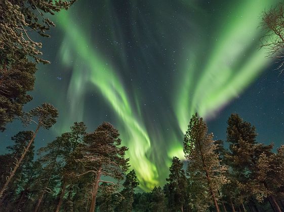 Wilderness Hotels Juutua - Finlande