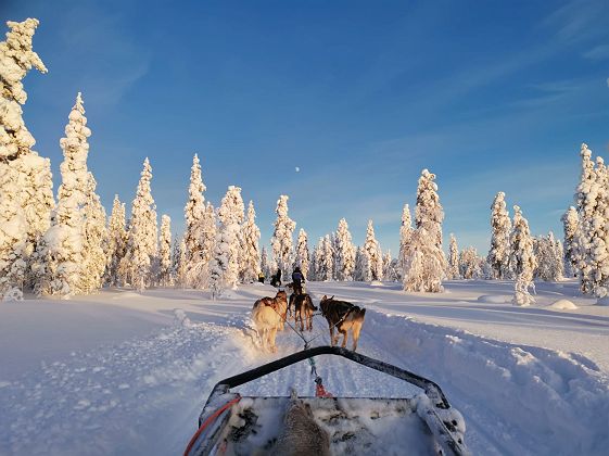Wilderness Hotels Juutua - Finlande